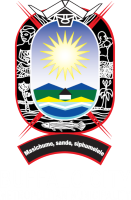 Buffalo City Metropolitan Municipality logo