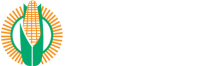 Maize Trust logo